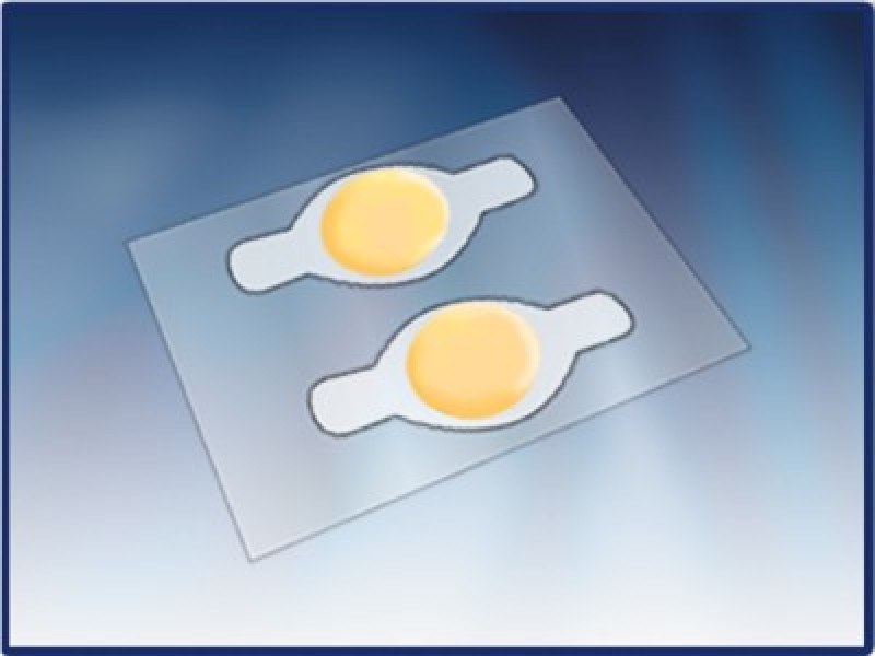 Foot Care Products By  PharmaPlast