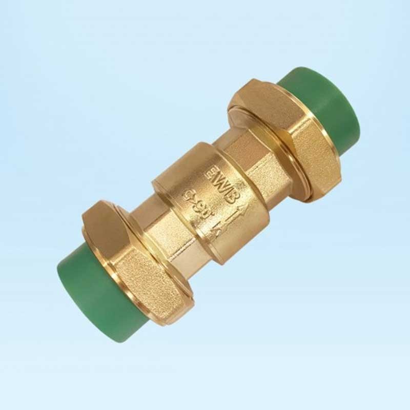 Swing Check Valve By EWB