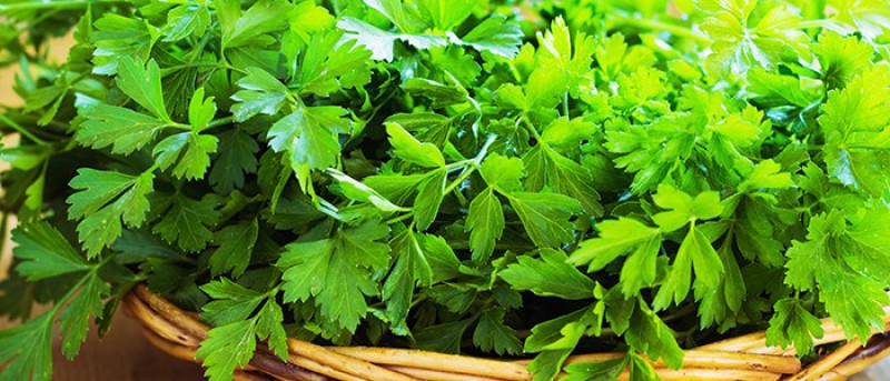 MEDICAL HERBS By AlAlya-Herbs