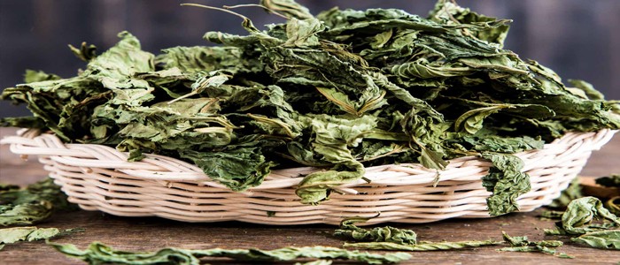 MEDICAL HERBS By AlAlya-Herbs