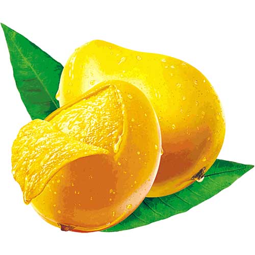 Egyptian Fresh Mango